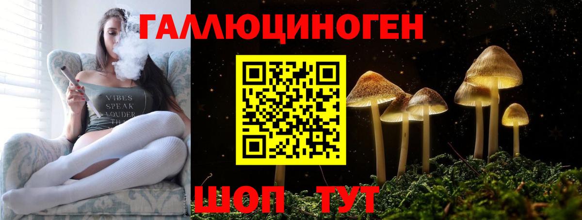 Псилоцибиновые грибы Cubensis Анжеро-Судженск
